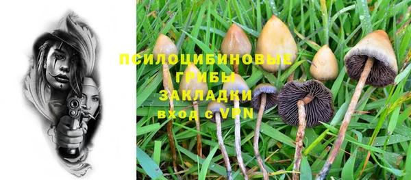 jwh Бородино