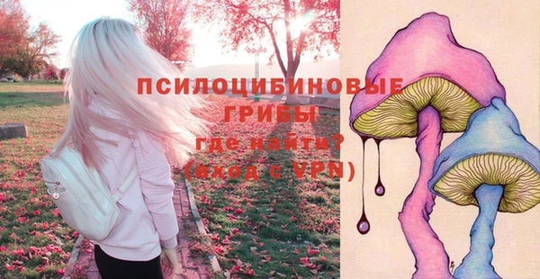 СК Бронницы