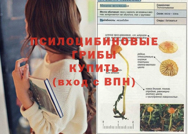 шишки Вязьма