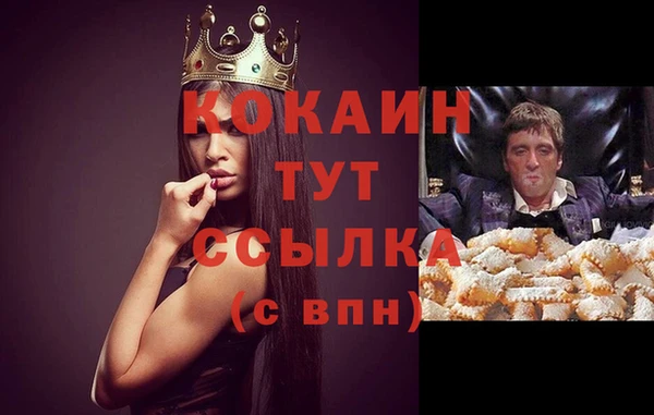 шишки Вязьма