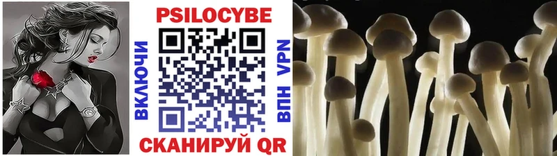 Галлюциногенные грибы Magic Shrooms  Купить где  Белоярский 